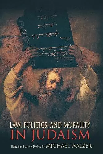 Law, Politics, and Morality in Judaism cover