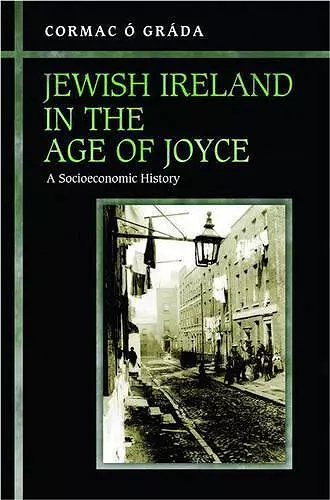 Jewish Ireland in the Age of Joyce cover