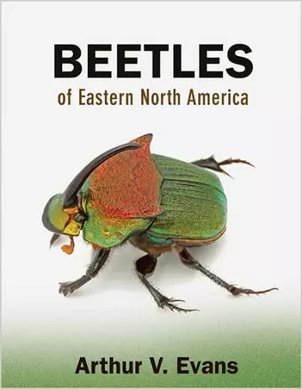 Beetles of Eastern North America cover