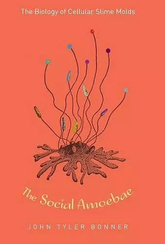 The Social Amoebae cover