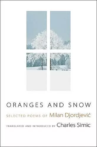 Oranges and Snow cover