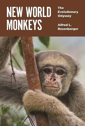 New World Monkeys cover