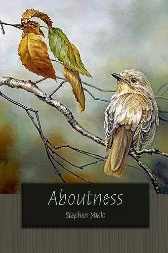 Aboutness cover