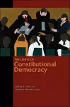 The Limits of Constitutional Democracy cover