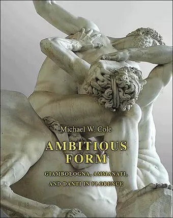 Ambitious Form cover