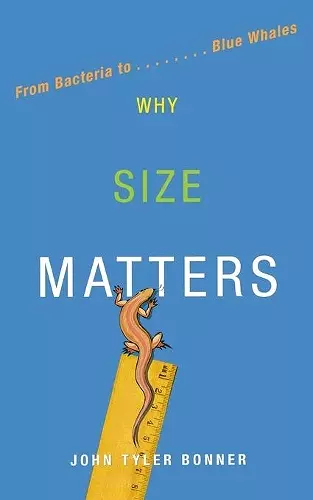 Why Size Matters cover