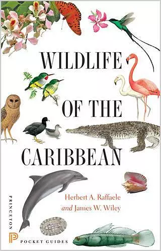 Wildlife of the Caribbean cover