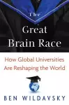 The Great Brain Race cover