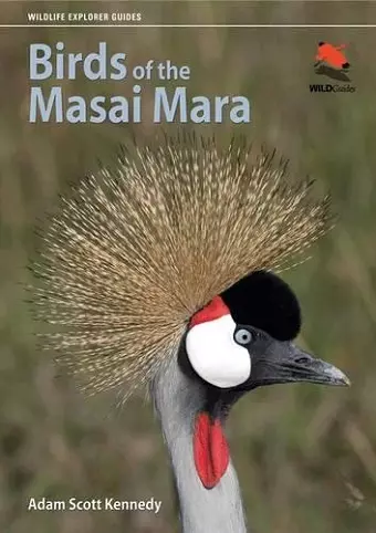 Birds of the Masai Mara cover