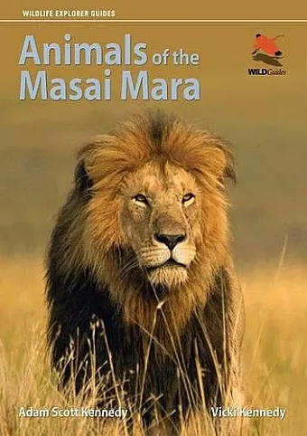 Animals of the Masai Mara cover