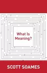 What Is Meaning? cover