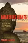 Awakening Giants, Feet of Clay cover