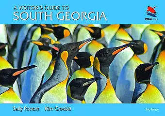 A Visitor's Guide to South Georgia cover