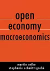 Open Economy Macroeconomics cover