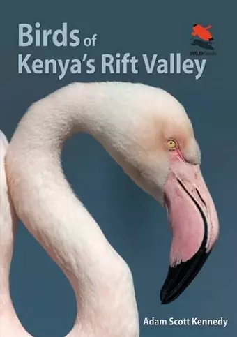 Birds of Kenya's Rift Valley cover