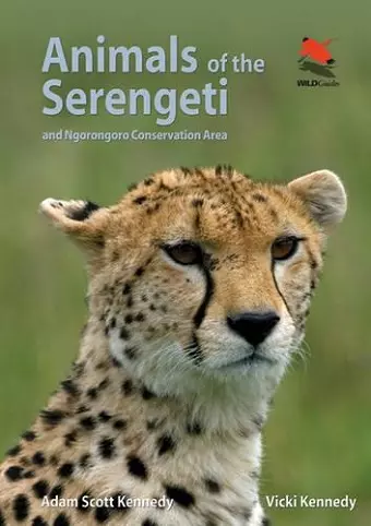 Animals of the Serengeti cover