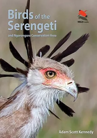 Birds of the Serengeti cover
