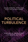 Political Turbulence cover