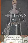 The Jews of Islam cover