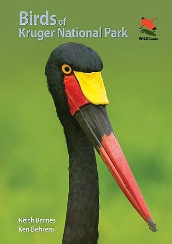Birds of Kruger National Park cover