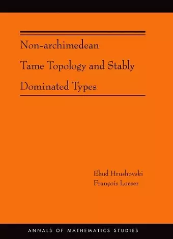 Non-Archimedean Tame Topology and Stably Dominated Types cover