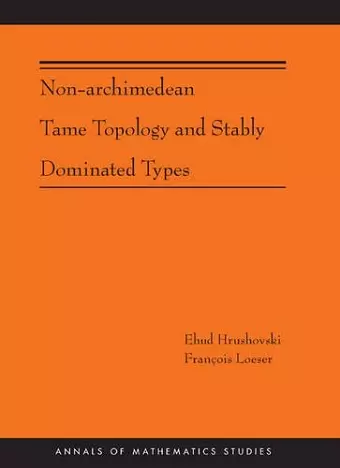 Non-Archimedean Tame Topology and Stably Dominated Types cover