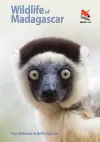 Wildlife of Madagascar cover
