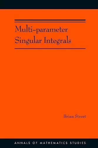 Multi-parameter Singular Integrals, Volume I cover