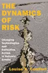 The Dynamics of Risk cover