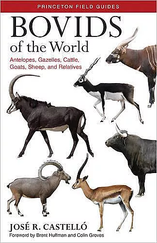 Bovids of the World cover