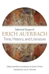 Time, History, and Literature cover
