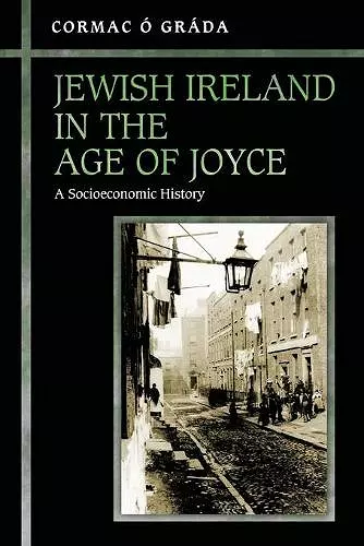 Jewish Ireland in the Age of Joyce cover