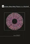 Quantum Many-Body Physics in a Nutshell cover