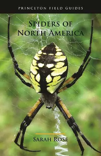 Spiders of North America cover