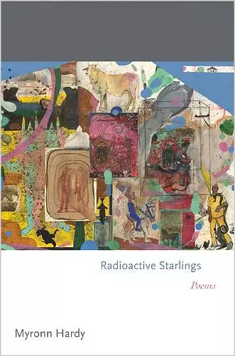 Radioactive Starlings cover