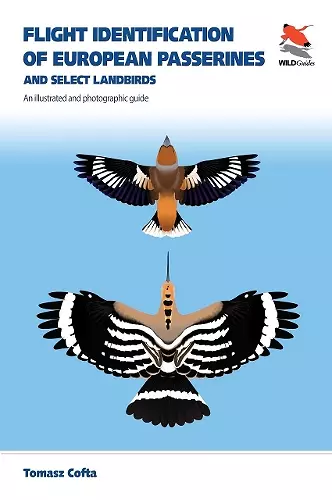 Flight Identification of European Passerines and Select Landbirds cover
