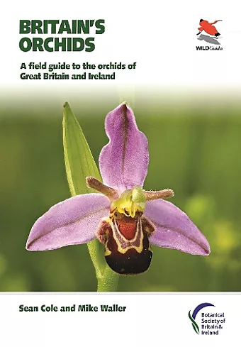 Britain's Orchids cover