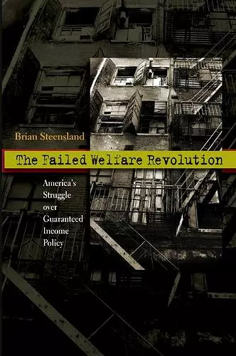 The Failed Welfare Revolution cover