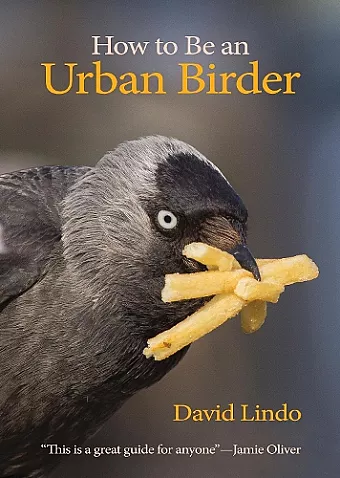 How to Be an Urban Birder cover