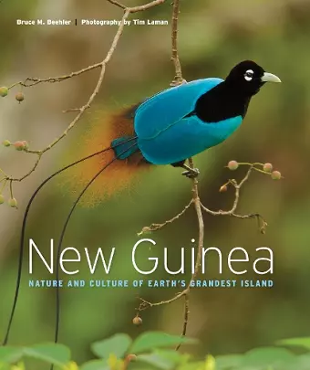 New Guinea cover