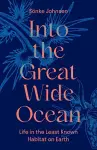 Into the Great Wide Ocean cover