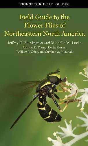 Field Guide to the Flower Flies of Northeastern North America cover