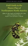 Field Guide to the Flower Flies of Northeastern North America cover