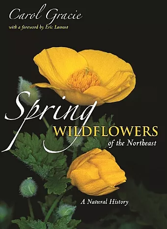Spring Wildflowers of the Northeast cover