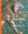 A Wonder to Behold cover