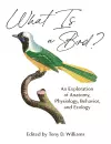 What Is a Bird? cover