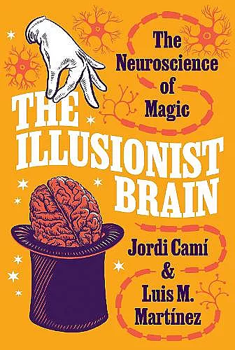 The Illusionist Brain cover
