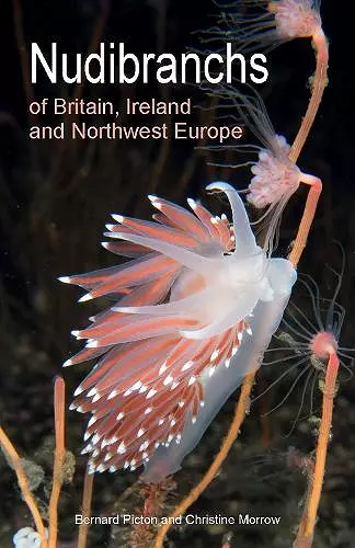 Nudibranchs of Britain, Ireland and Northwest Europe cover