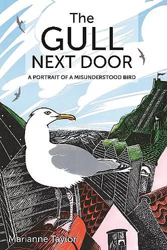 The Gull Next Door cover