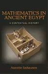 Mathematics in Ancient Egypt cover